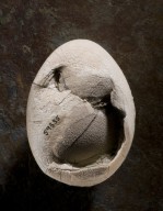Fossil Bird Egg, Side B