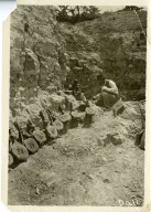 Excavating Diplodocus