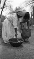Tohono O'odham Women Prepping Cactus for Fermentation