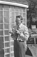 H.H. Nininger examining fragments of the Norton County, Kansas meteorite with magnifying glass at the American Meteorite Museum near Winslow, Arizona.