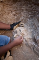 Fieldwork at Scott Springs archaeological site