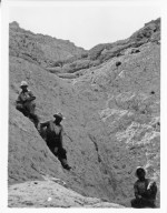 Workers in the field at Trigonias Quarry