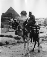 Man on Camel in Egypt