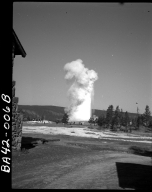 Alfred M. Bailey fieldwork in Yellowstone National Park