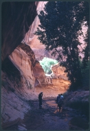 Glen Canyon Scenery