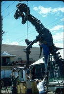 Tyrannosaurus Rex Articulation Project