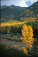 Fall colors in Conejos County
