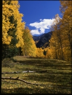 Fall colors in Conejos County