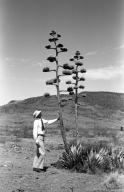 Man with Agave Plant