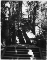 Hakone shrine stairway