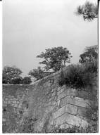 Osaka Castle wall