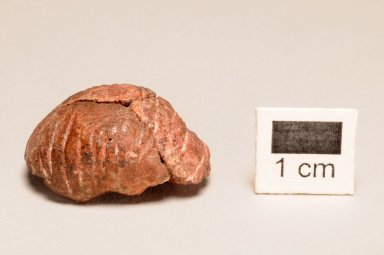 Hematite Bead with Ruler