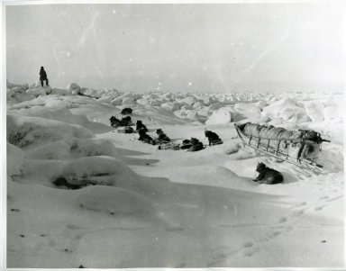 Museum sled in rough ice rounding Cape Lizbourne