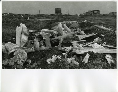 Site of Ancient Igloos on St. Lawrence Island, Alaska