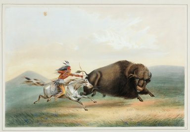 Buffalo Chase.
