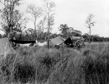 Museum camp scene