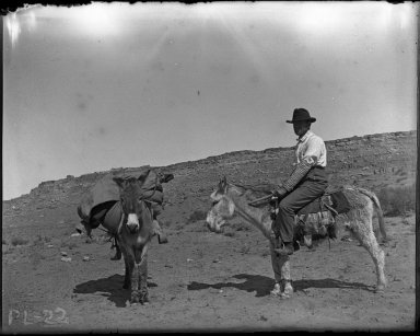 Bratley with 2 burros explore N. Arizona