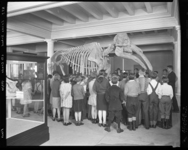 6th Grade Class from Evans Elementary at Long Jawed Mastodon