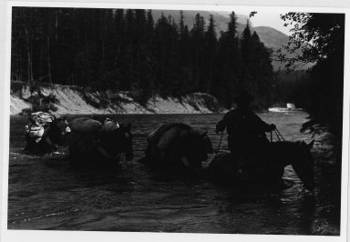 Rider and pack horses fording a river