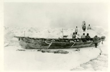 Crew of oomiak on ice with ringed & spotted seals