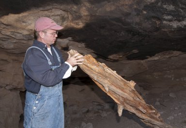Dr. Steve Nash examines a timber at the Hinkle Park Cliff Dwelling.