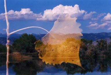 Double Exposure - Large leaf over scene with pond and mounatins