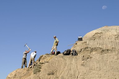 L-R: Dr. Ian Miller and David Allen, DMNS Volunteer, work on a dig site on the Kaiparowits Plateau while Dane Miller (right) looks on.