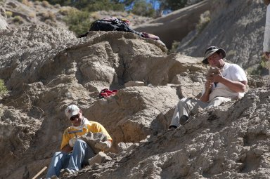 L-R: A DMNS Volunteer and Dr. Kirk Johnson, DMNS Vice President of Research and Collections and Chief Curator, chip away at rocks to unveil leaf specimens at a site on the Kaiparowits Plateau.