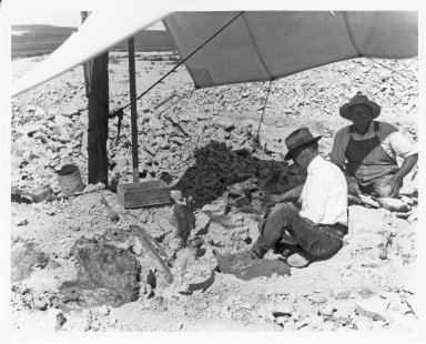 Figgins & Reinheimer Working on Fossils