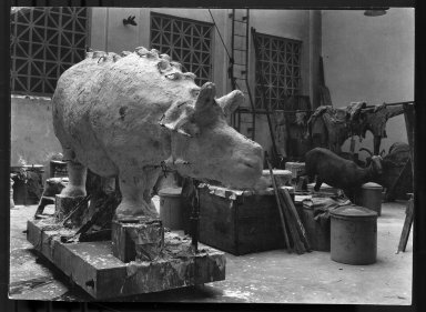 Mount being prepared for exhibit The Field Museum
