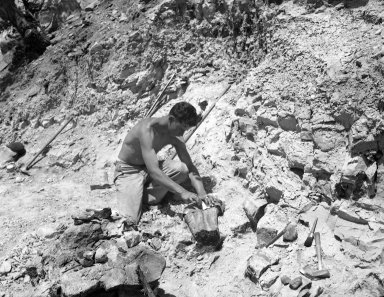 Excavation of Stegosaurus from Garden Park, Colorado
