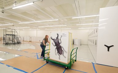 Museum interior - Zoology move to Avenir Collection Center