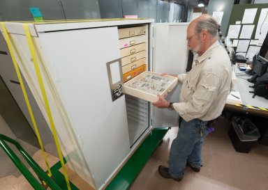Museum interior - Zoology Collections move to Avenir Collections Center