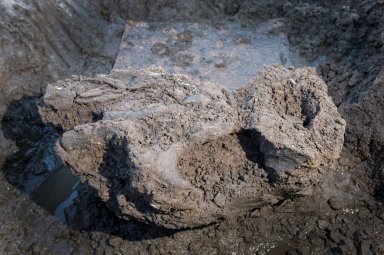 Snowmastodon Excavation Site