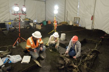 Snowmastodon Excavation Activity