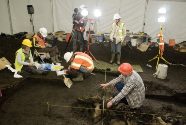 Snowmastodon Excavation Activity