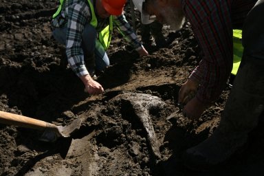 Snowmastodon Excavation