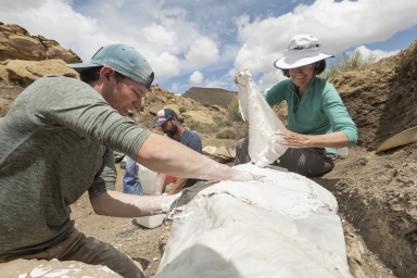Excavating Hadrosaurus with Dr. Joe Sertich in Grand Staircase Escalante, Utah