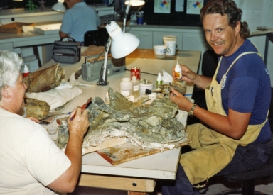 DMNH Paleontology Department Scrapbook