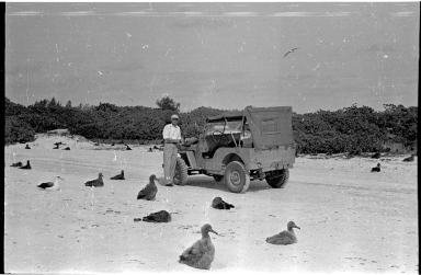Fieldwork on Midway Atoll