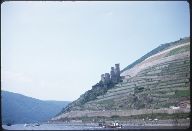 Ehrenfels Castle