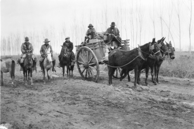 Expedition members with mules