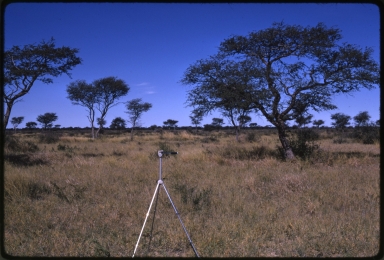 Botswana fieldwork