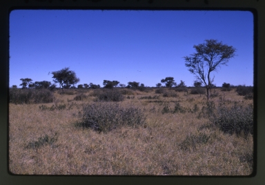 Botswana fieldwork