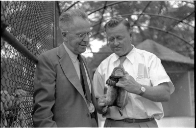 Alfred M. Bailey with a duck-billed platypus
