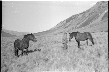 Dick Morris and two horses at Lewis Pass