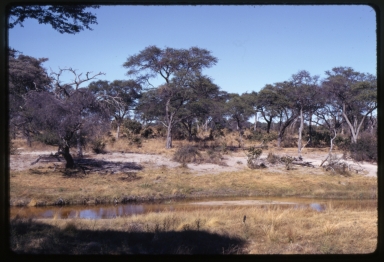Botswana Fieldwork