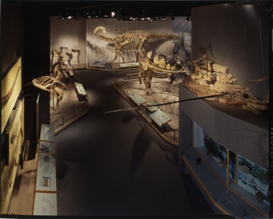 Prehistoric Journey Exhibit