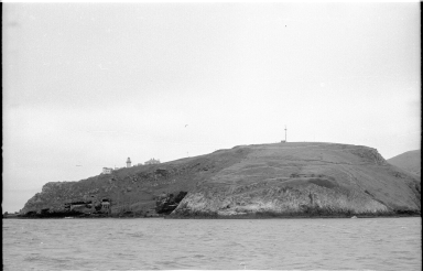 Fieldwork on Campbell Island