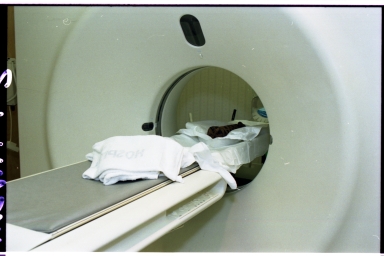 CT scan of cat mummy